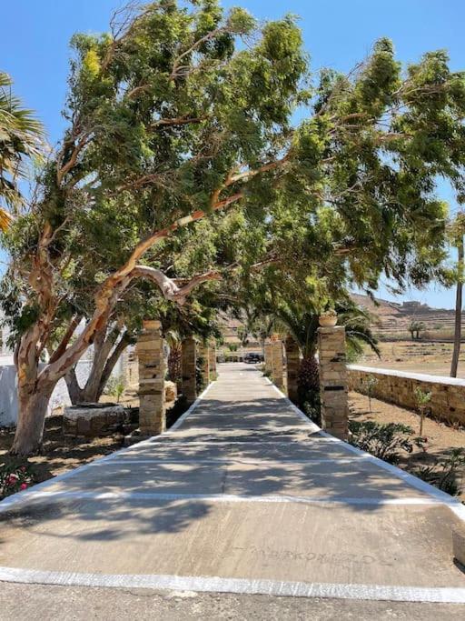 Θἔρως Tinos Exterior foto