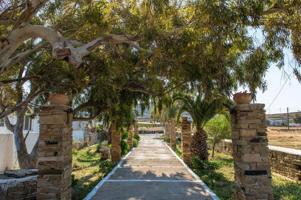 Θἔρως Tinos Exterior foto